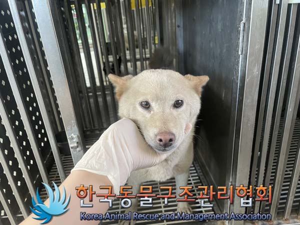 한국동물구조관리협회_441404202400452