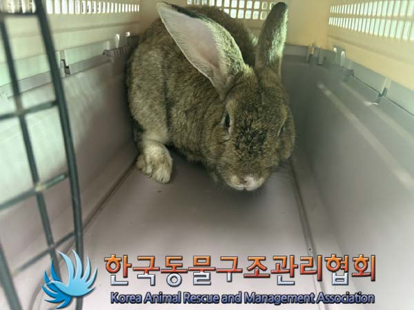 한국동물구조관리협회_411301202400297
