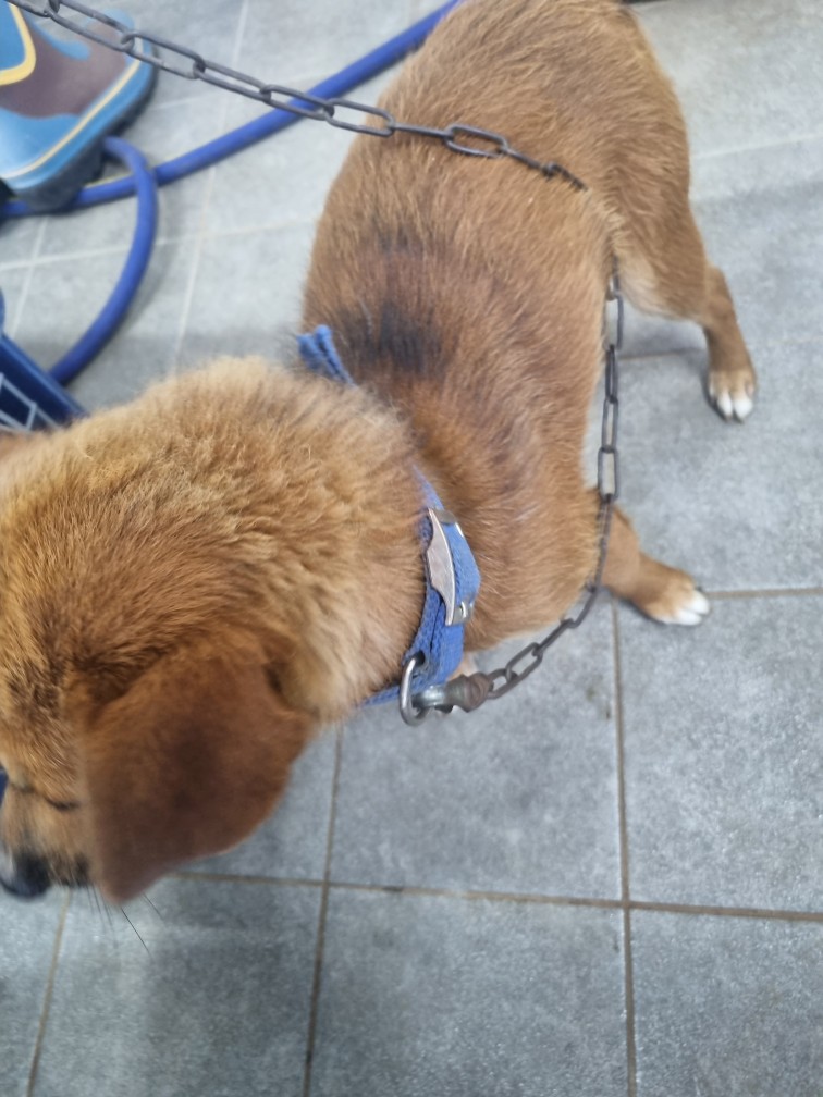 군위종합동물병원_427514202400575