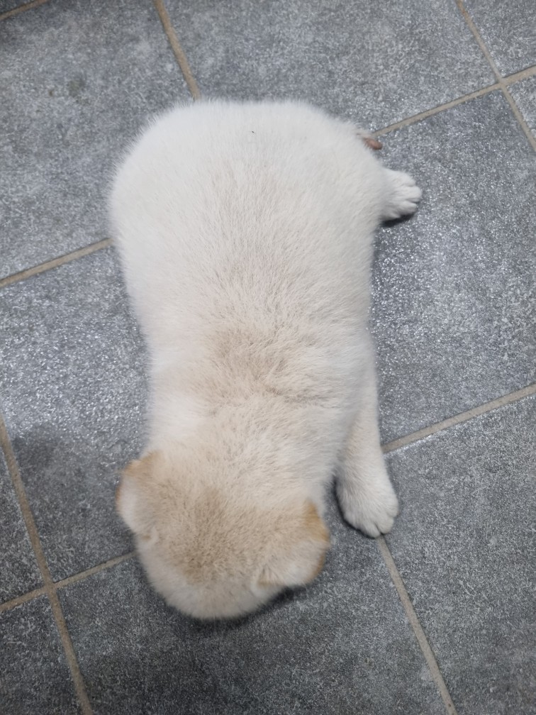 군위종합동물병원_427514202400577