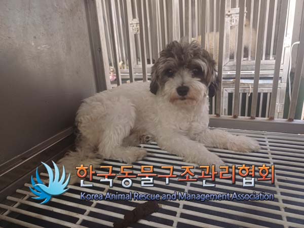 한국동물구조관리협회_411316202400460