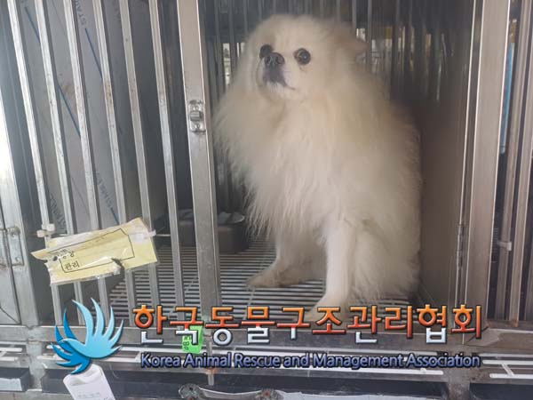 한국동물구조관리협회_441382202400667