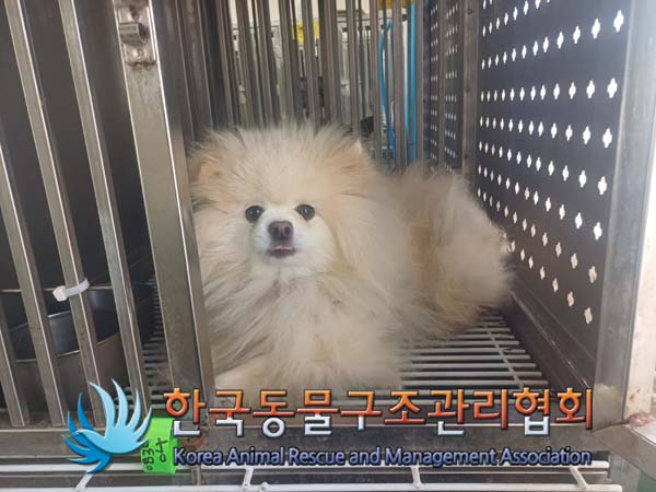 한국동물구조관리협회_441382202400668