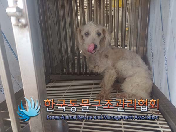 한국동물구조관리협회_441414202400643