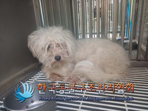 한국동물구조관리협회_441414202400644