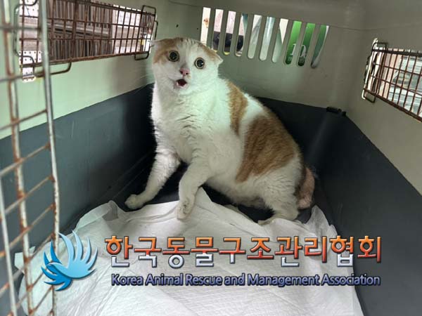 한국동물구조관리협회_441392202400247