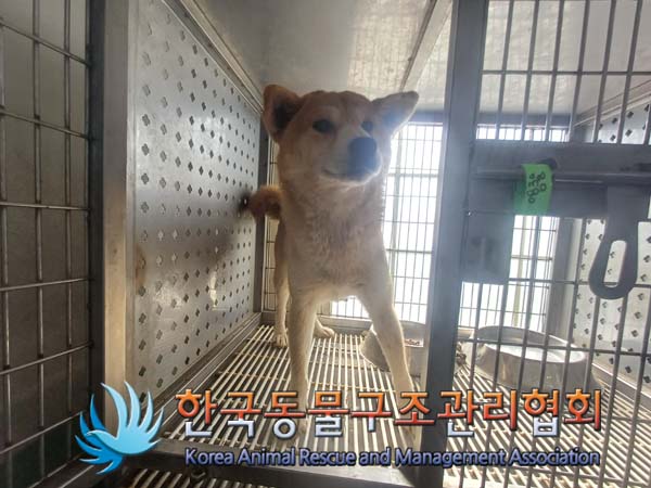 한국동물구조관리협회_441392202400242