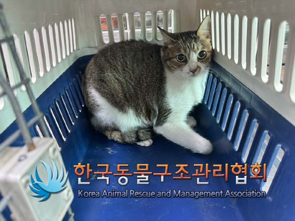 한국동물구조관리협회_441560202401065