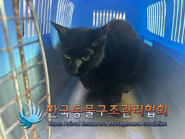 한국동물구조관리협회_411311202400617