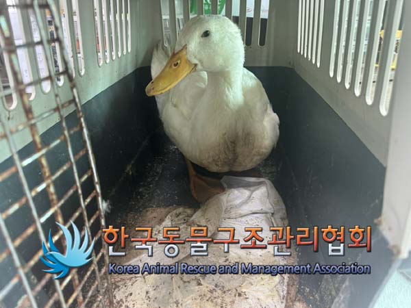한국동물구조관리협회_411306202400669