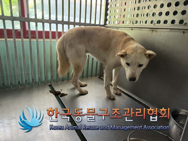 한국동물구조관리협회_441409202401317