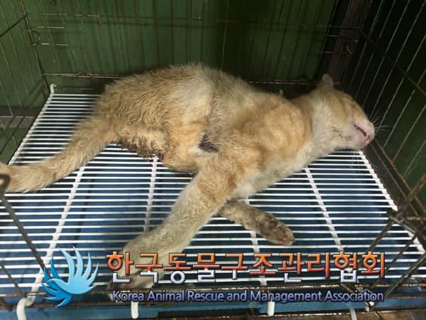 종료(자연사) 한국…