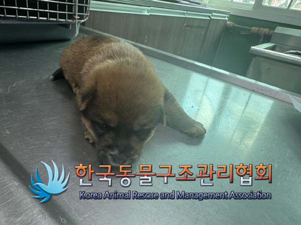 종료(자연사) 믹스…