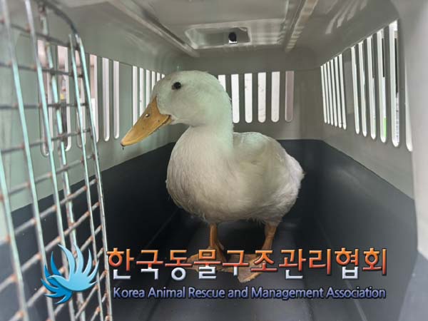 한국동물구조관리협회_411306202400668