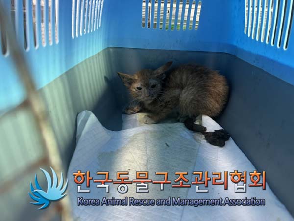 한국동물구조관리협회_411304202400443