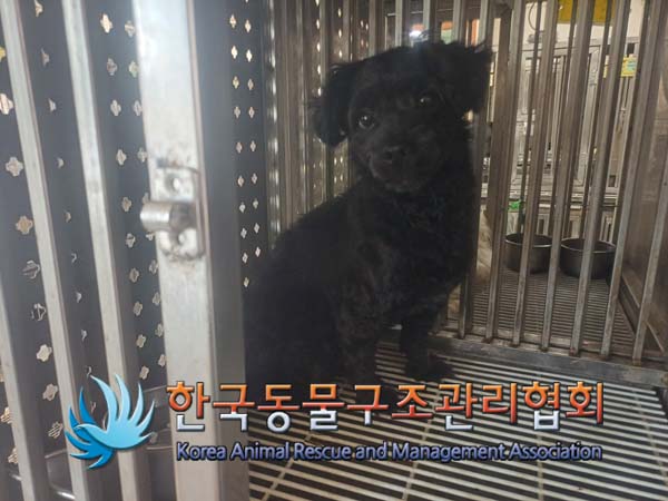 한국동물구조관리협회_441406202401400
