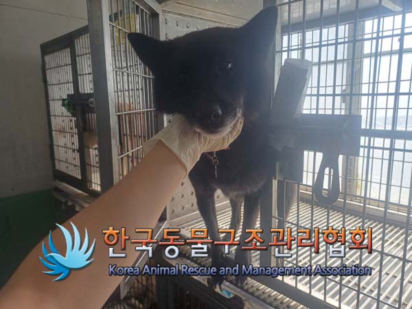 한국동물구조관리협회_411309202400257