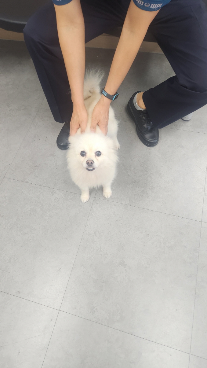 익산유기동물보호소_445468202402278