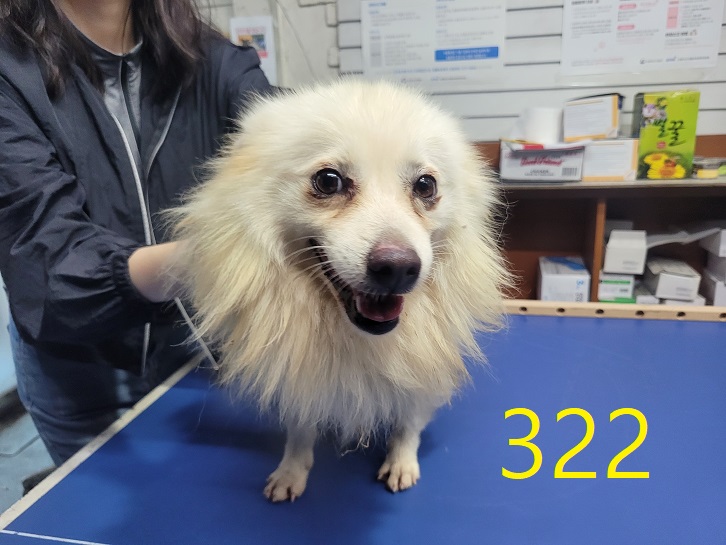신영재동물병원_428355202400554