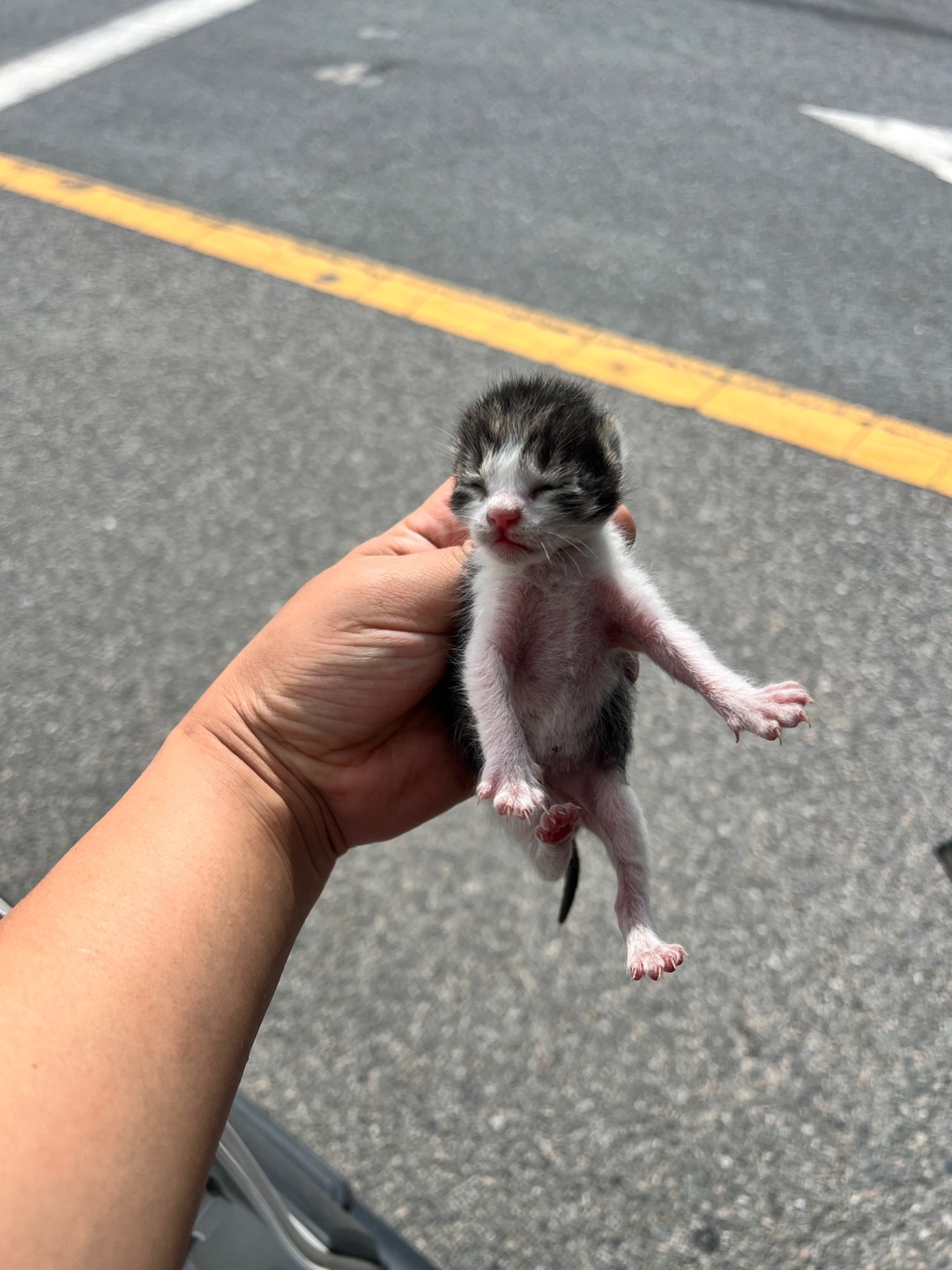 부산동물보호센터_426325202400398