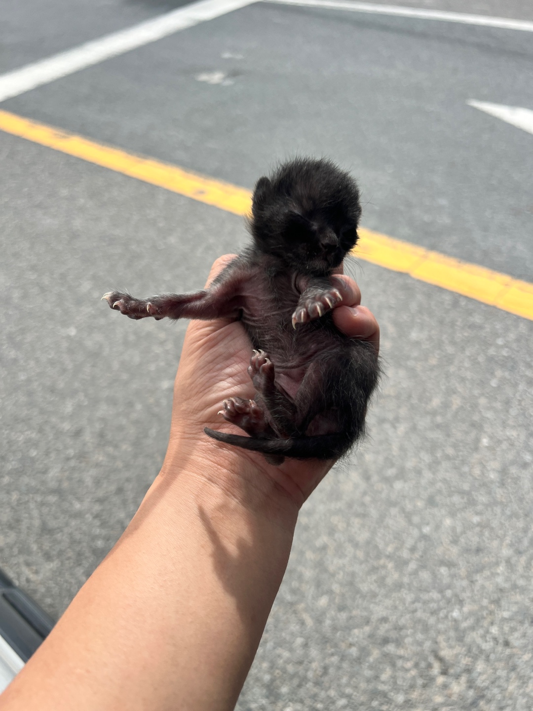 부산동물보호센터_426325202400399