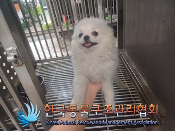한국동물구조관리협회_411307202400436