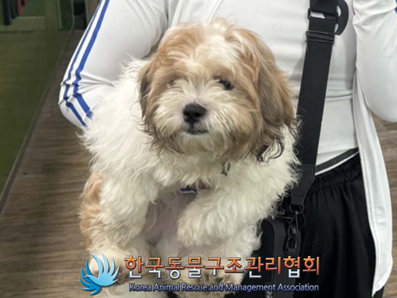 한국동물구조관리협회_441382202400669