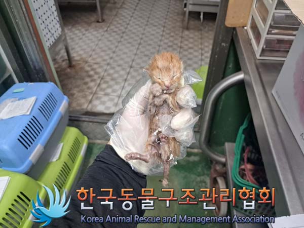 한국동물구조관리협회_411317202400279