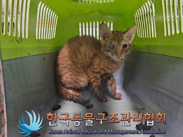 한국동물구조관리협회_411307202400437