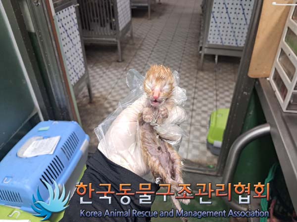 종료(자연사) 한국…