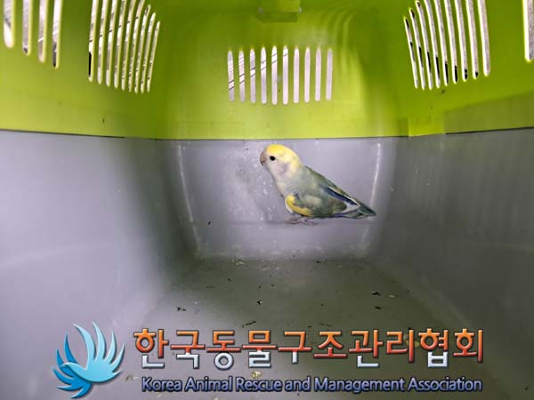 한국동물구조관리협회_411304202400449