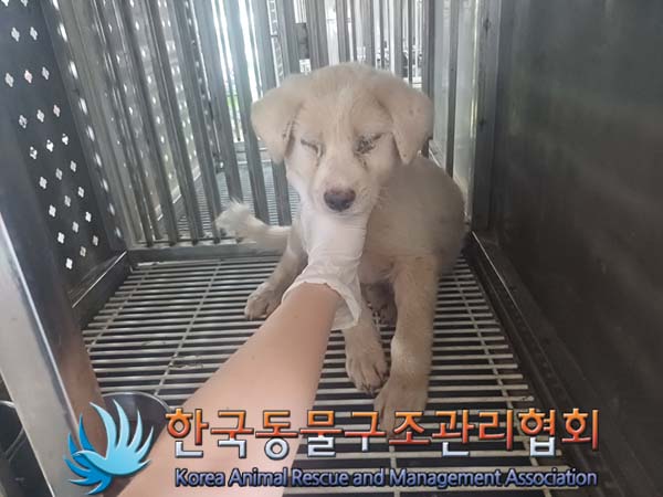 한국동물구조관리협회_441414202400650