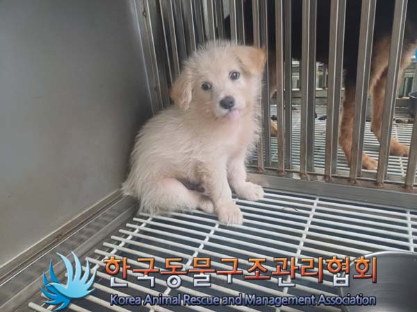 한국동물구조관리협회_441414202400647