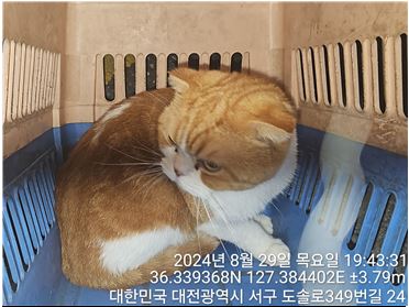 대전동물보호센터_430366202400431