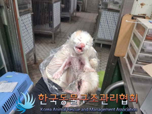 종료(자연사) 한국…