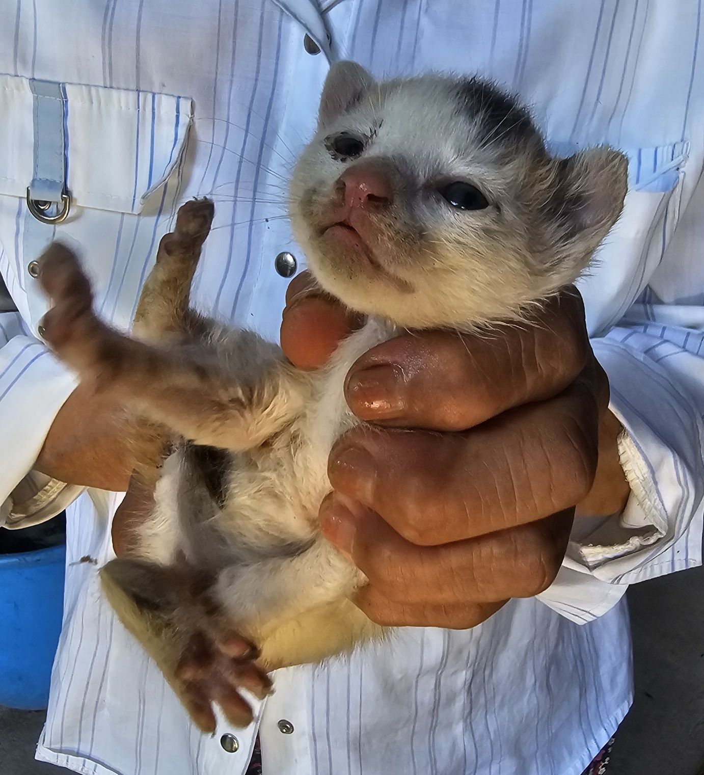 창녕 유기동물보호소_448541202401256