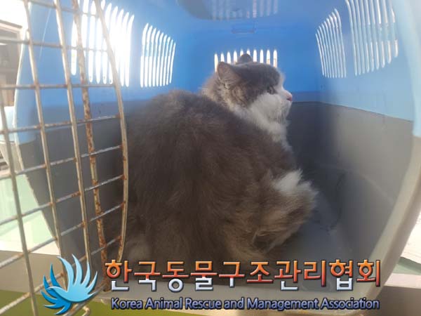 한국동물구조관리협회_411316202400468