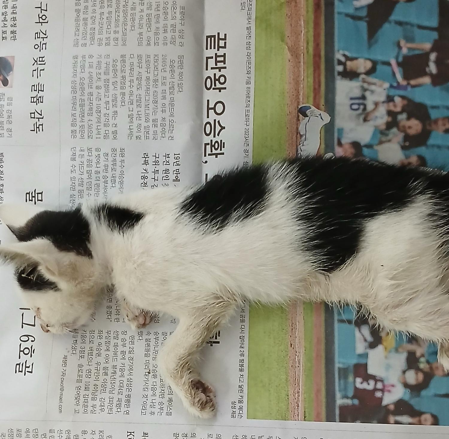 종료(자연사) 한국…