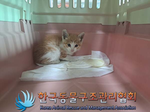 한국동물구조관리협회_411306202400671