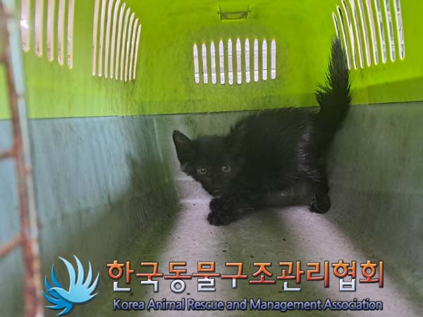 한국동물구조관리협회_411303202400384