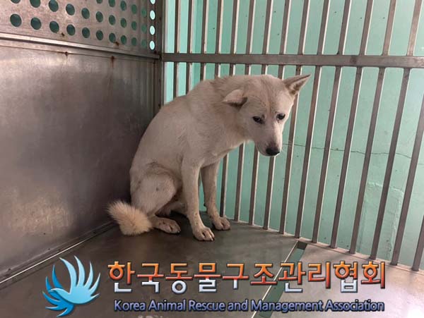 한국동물구조관리협회_441409202401321
