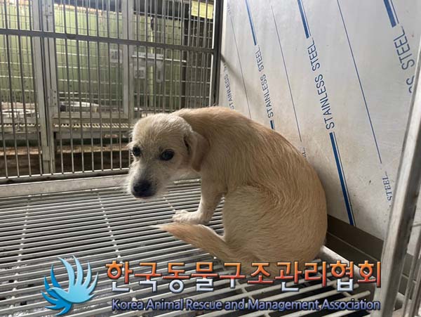 한국동물구조관리협회_441560202401080