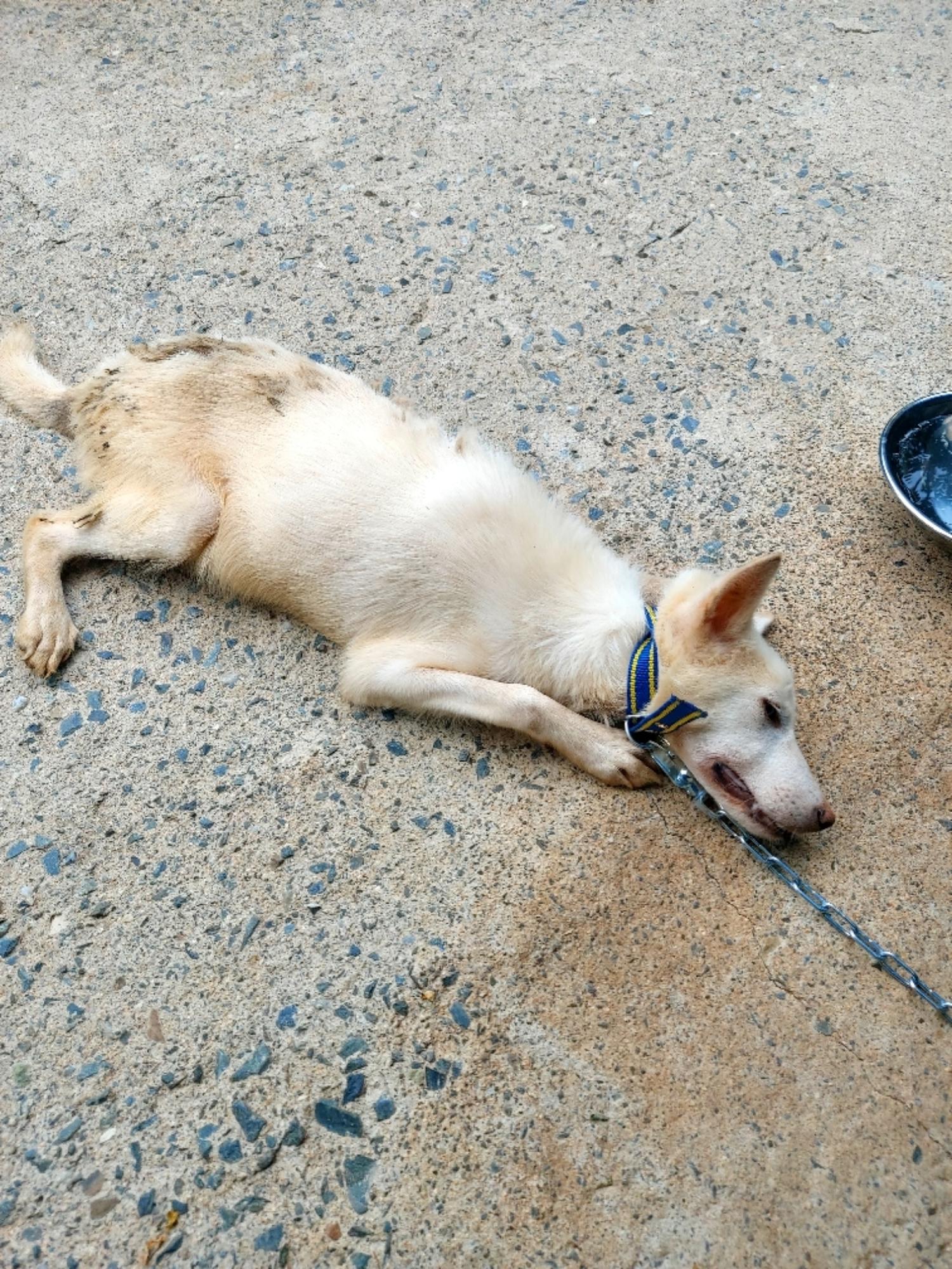 제일동물병원_444455202400540