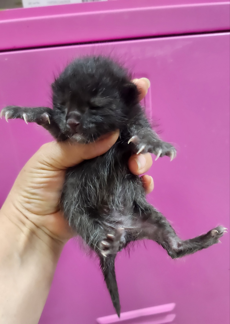 울산유기동물보호센터_431372202400461