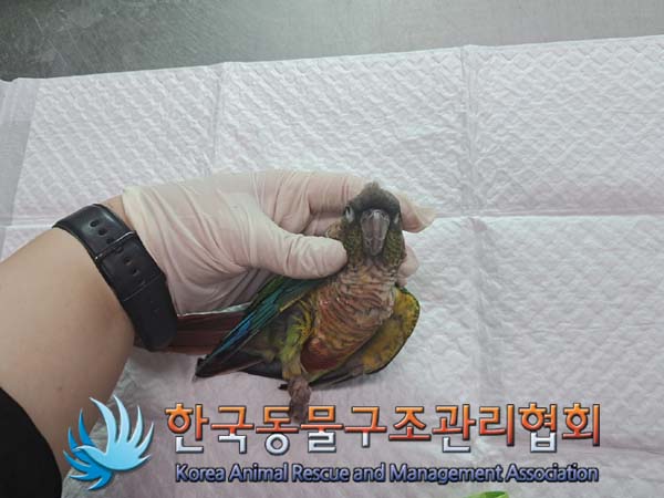 한국동물구조관리협회_441404202400458