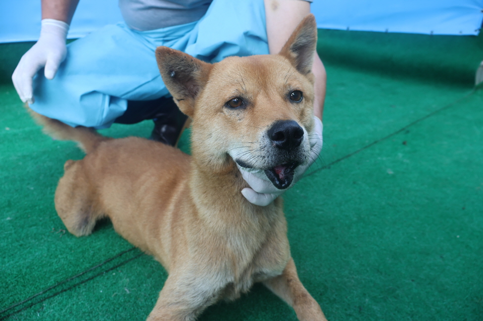 제주 동물보호센터_450650202402599