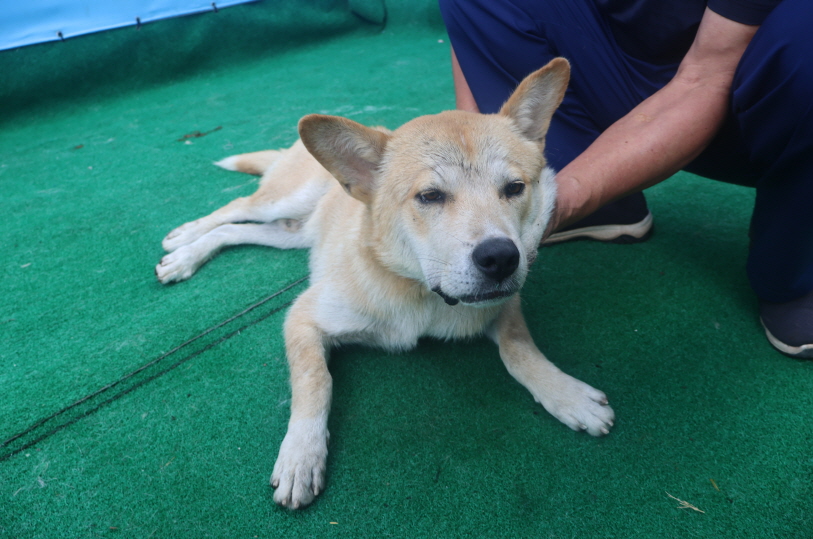 제주 동물보호센터_450650202402600