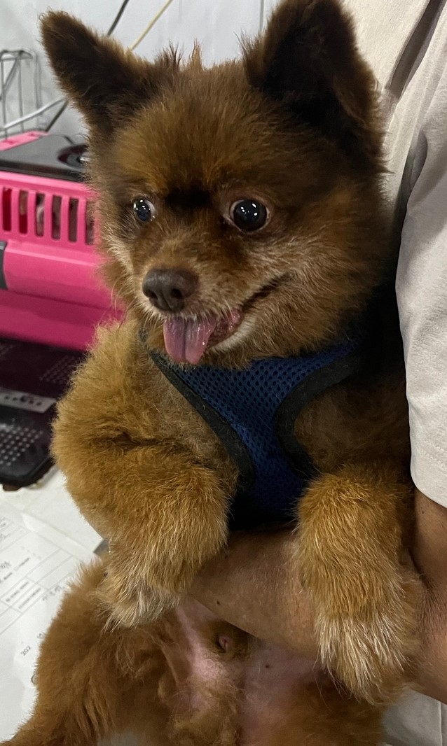 인천광역시수의사회_428352202400387