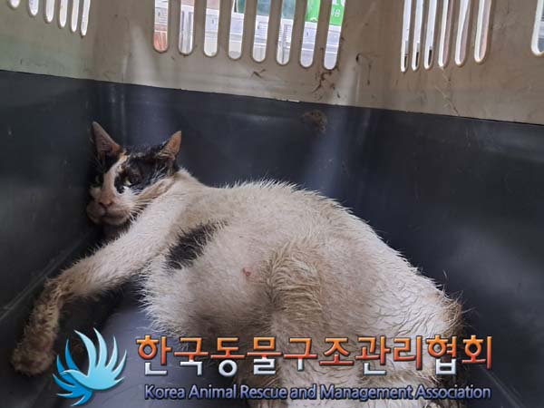 한국동물구조관리협회_411306202400692