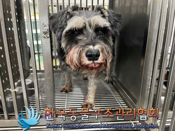한국동물구조관리협회_411318202400275